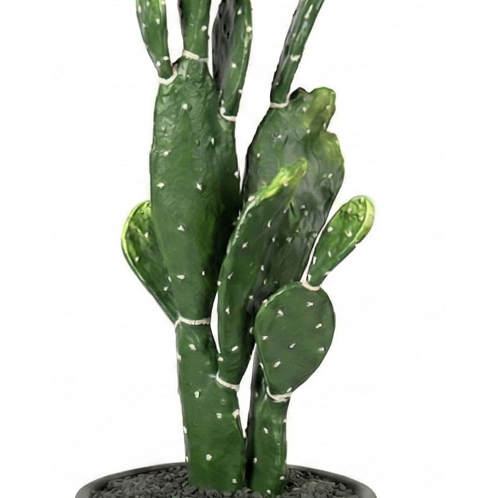 110 CM KAKTÜS