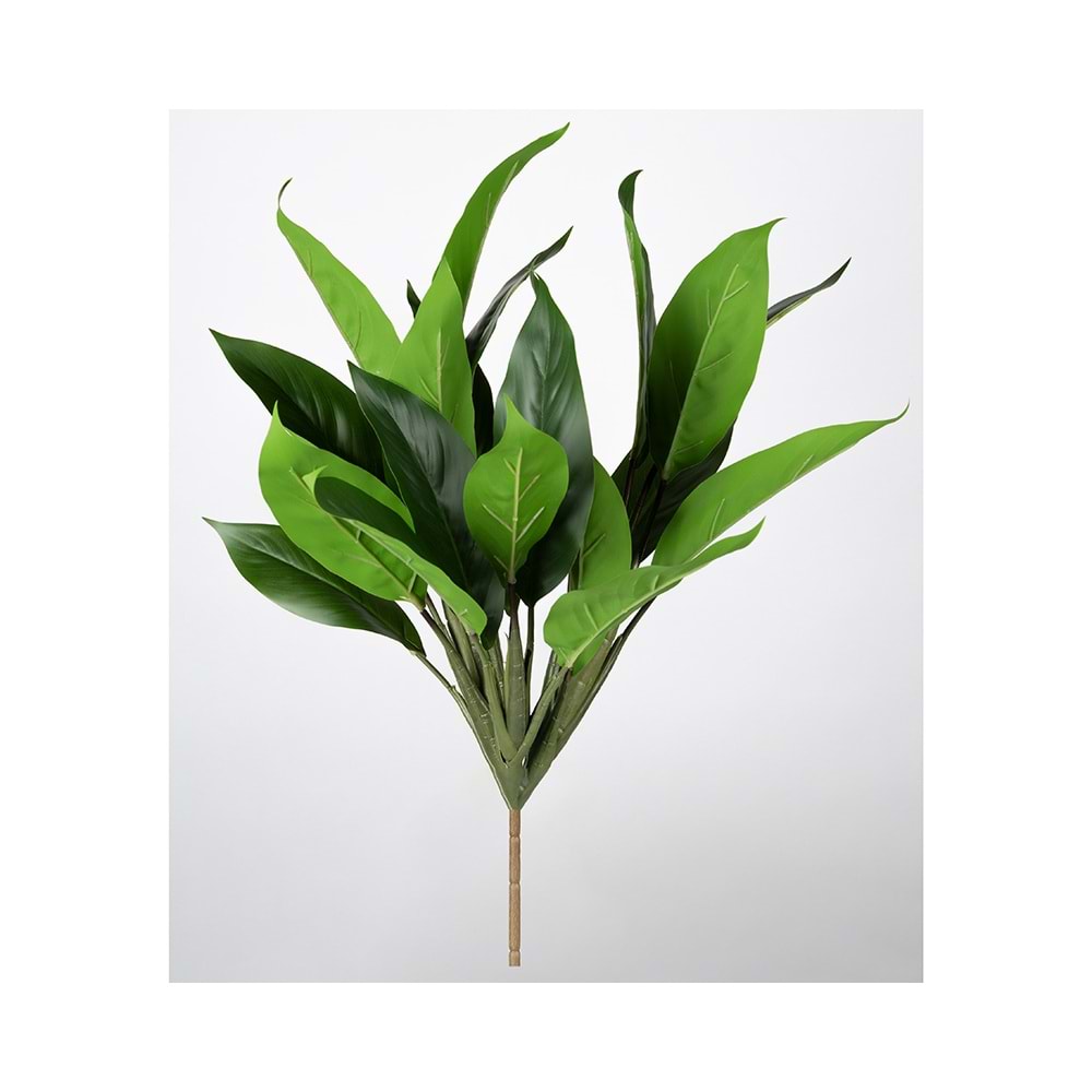 50 CM BİTKİ