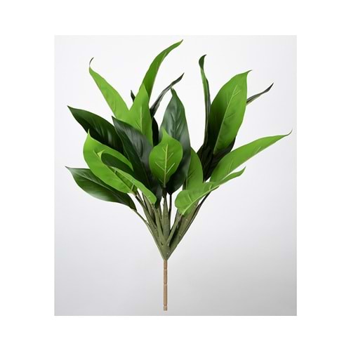 50 CM BİTKİ