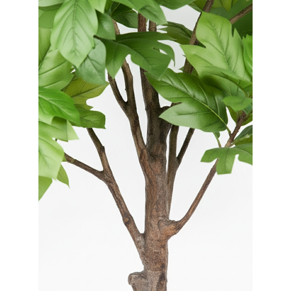 270 CM ARTOCARPUS