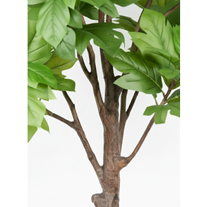 270 CM ARTOCARPUS