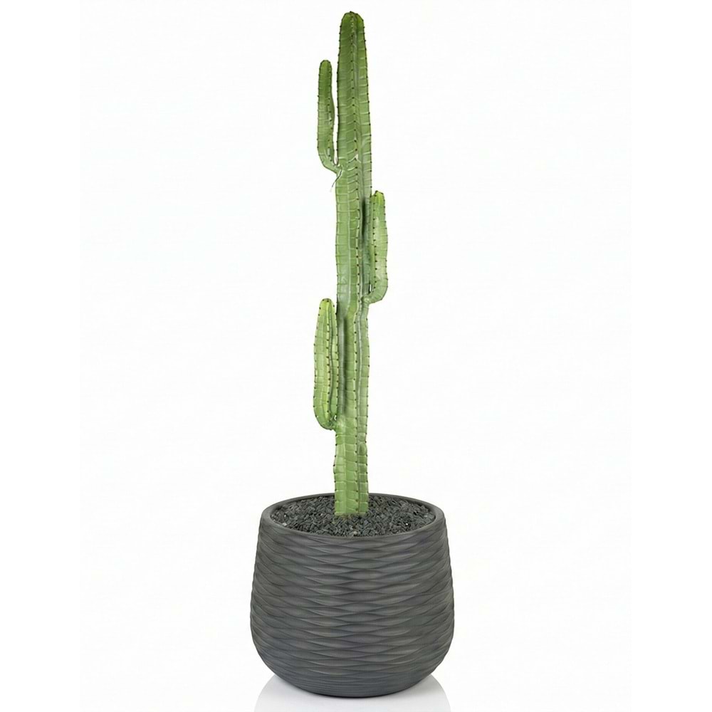 108 CM KAKTÜS