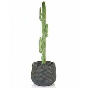 108 CM KAKTÜS