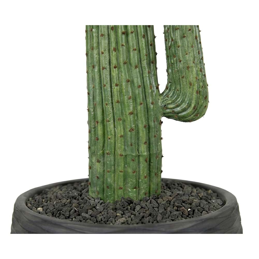 109 CM KAKTÜS