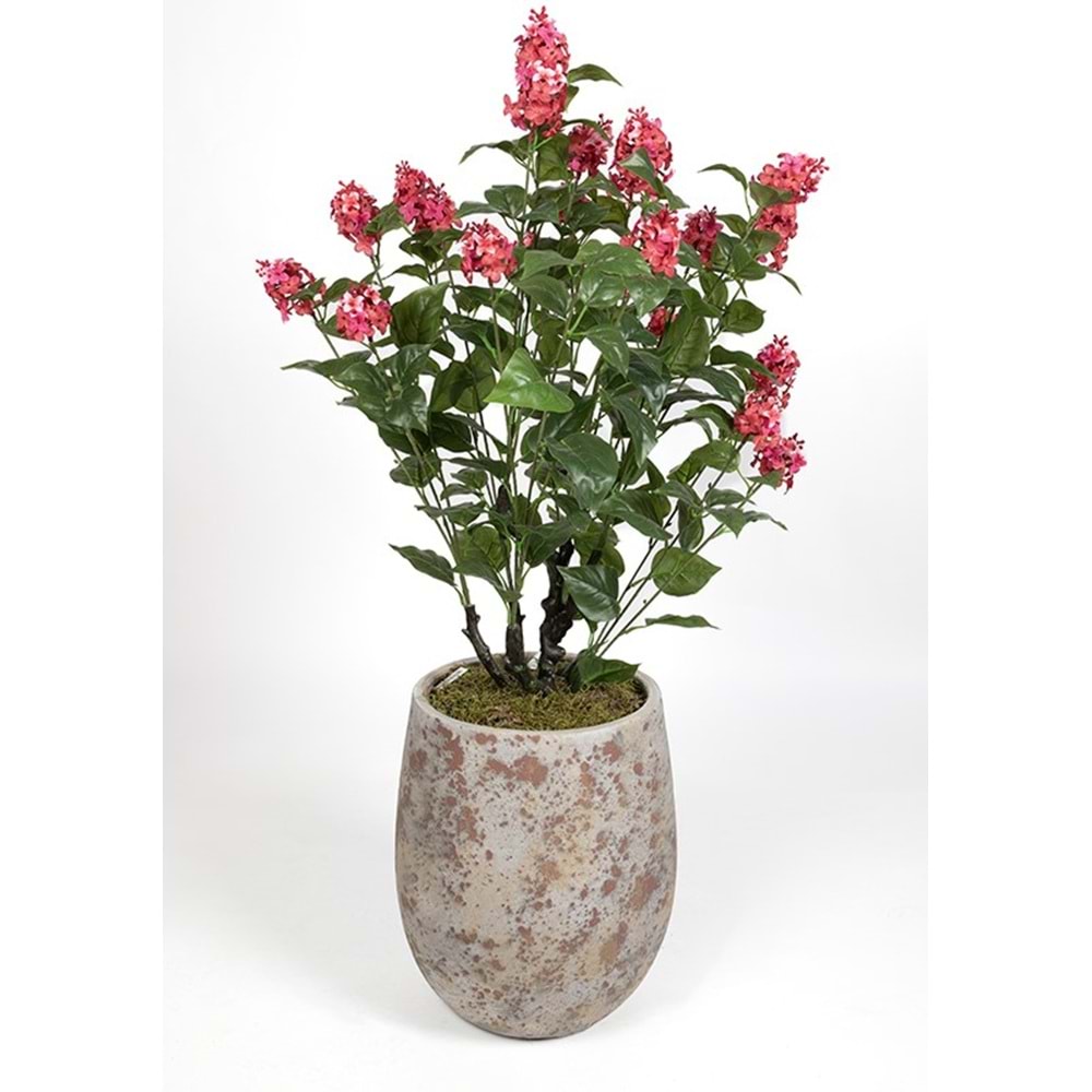 90 CM LEYLAK BORDO