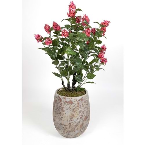 90 CM LEYLAK BORDO