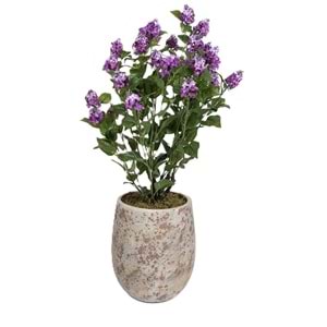 90 CM LEYLAK MOR