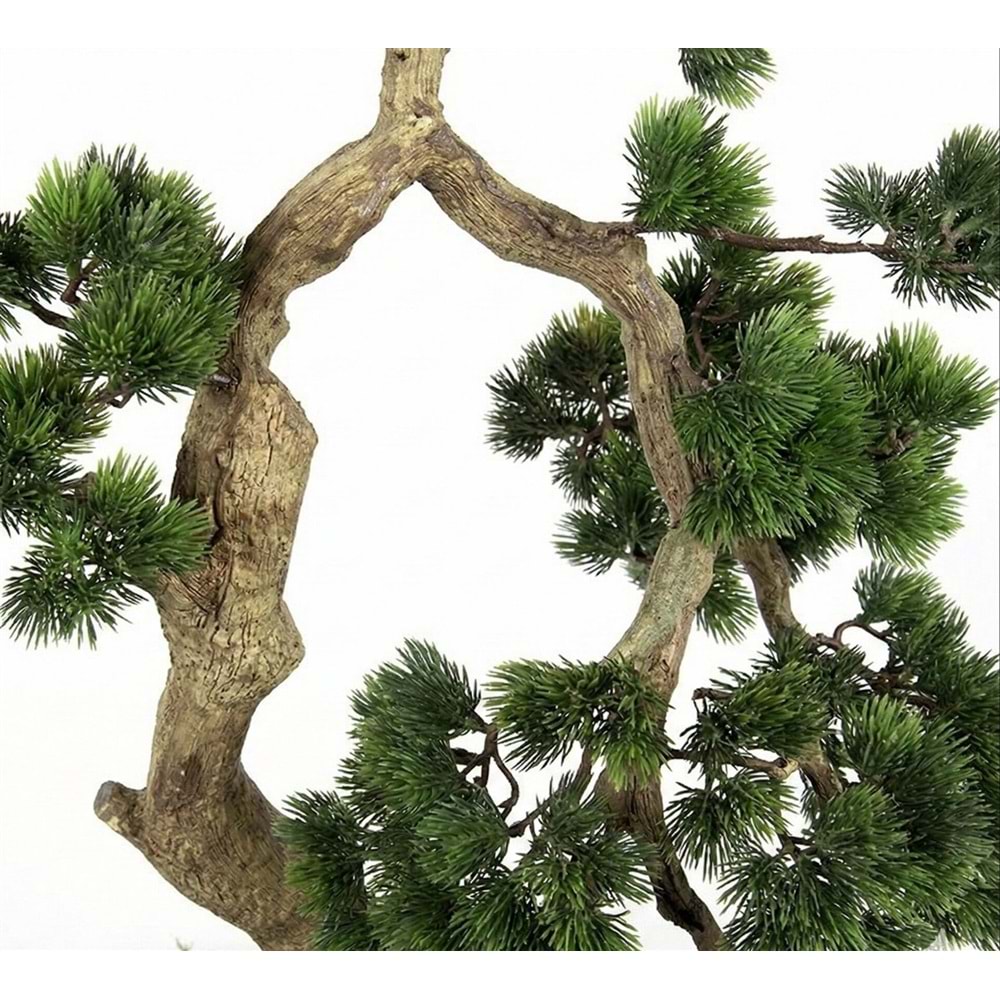 106 CM BONSAI