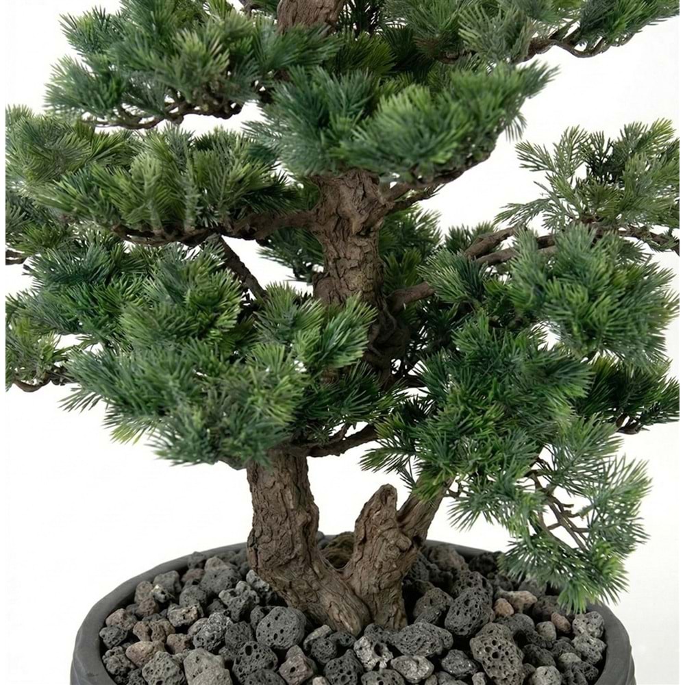 146 CM SAKSILI BONSAI