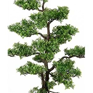 112 CM BONSAI