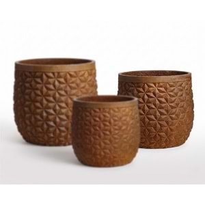 ALGOL POT 37*33