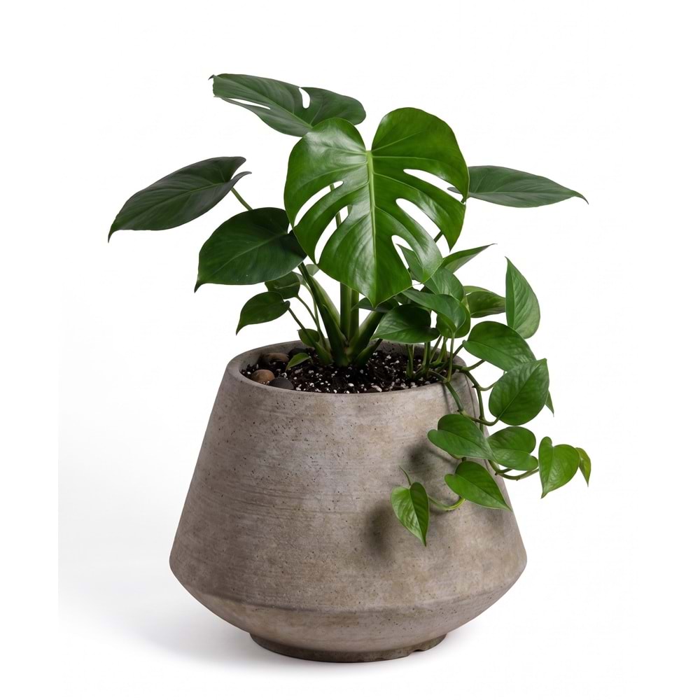 ZENARA POT 55*45