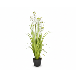 152 CM LANTERN FLOWER GRASS