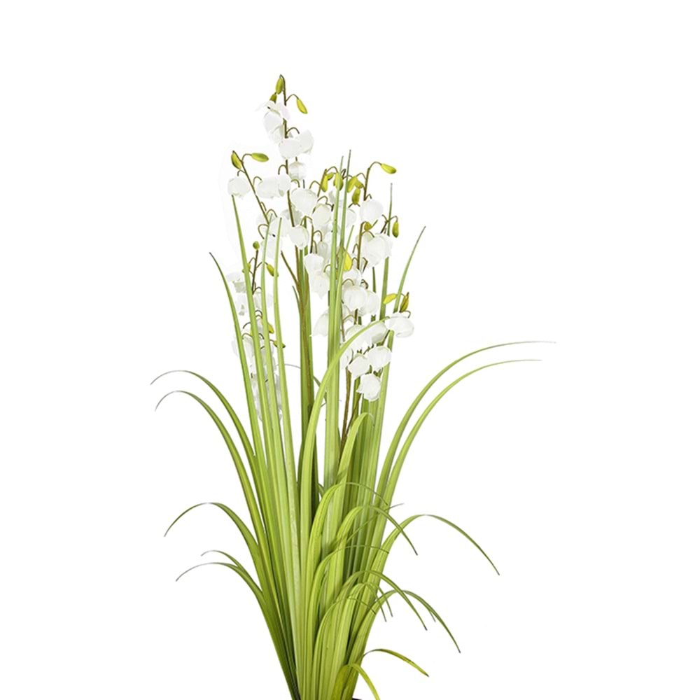 152 CM LANTERN FLOWER GRASS