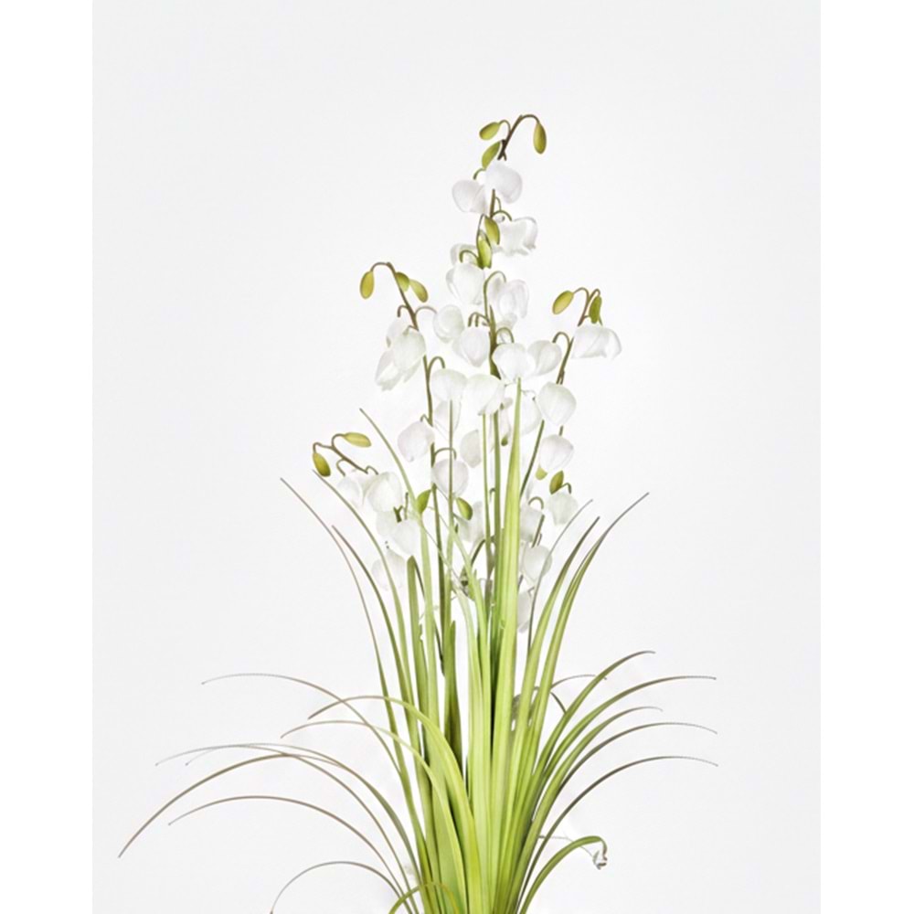120 CM LANTERN FLOWER GRASS
