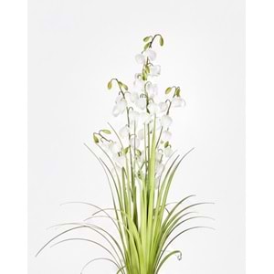 120 CM LANTERN FLOWER GRASS