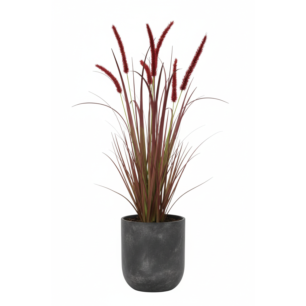 88 CM DOGTAIL GRASS BUSH BORDO
