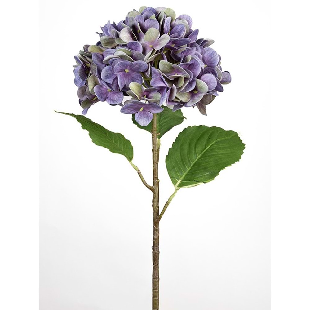 MOR ORTANCA 55 CM