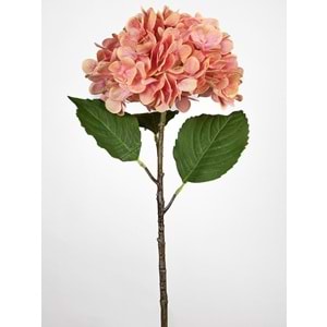 TURUNCU ORTANCA 55 CM