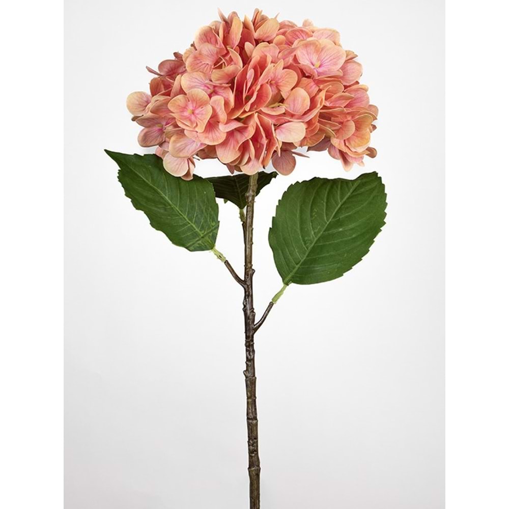 TURUNCU ORTANCA 55 CM