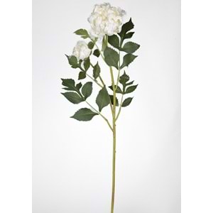 KRIZANTEM 70 CM
