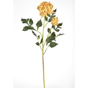 KRIZANTEM 70 CM