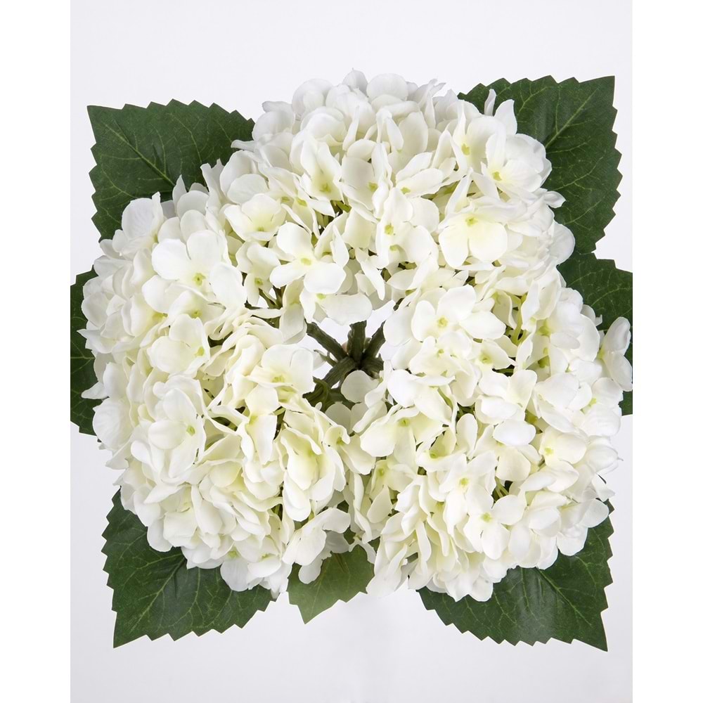 ORTANCA BEYAZ 34 CM