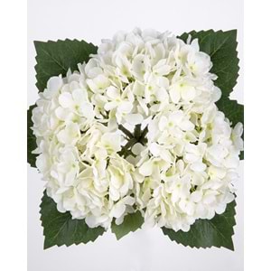 ORTANCA BEYAZ 34 CM