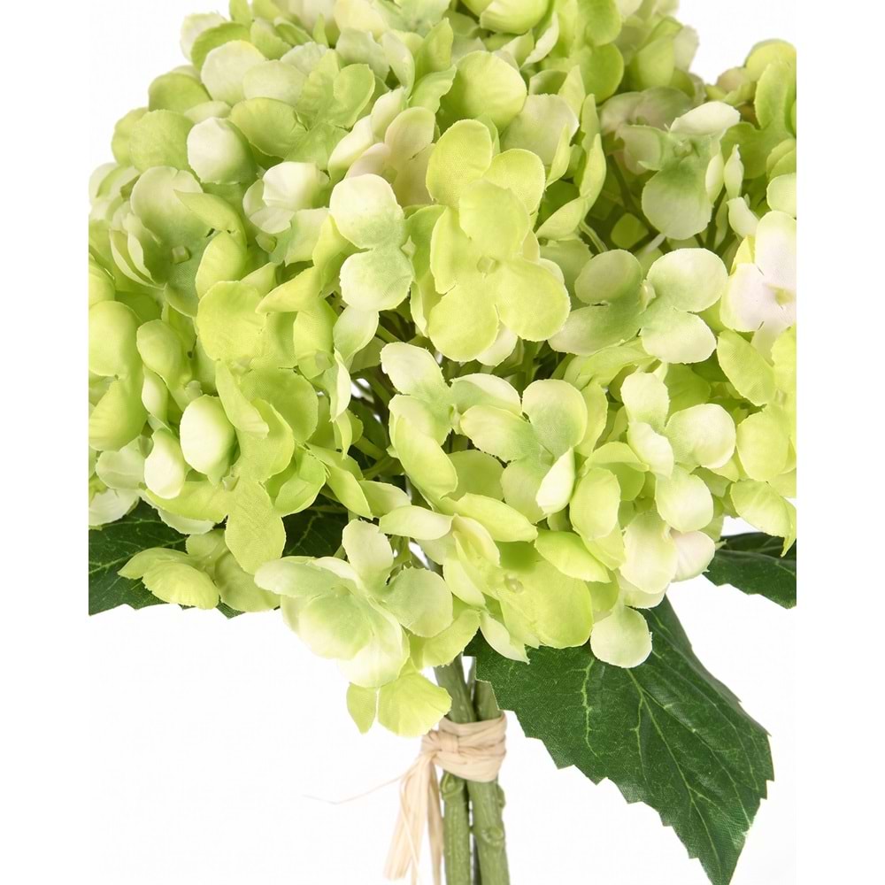 ORTANCA YEŞİL 34 CM