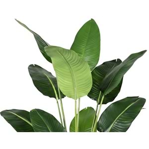 185 CM STARLİÇE 13 LVS
