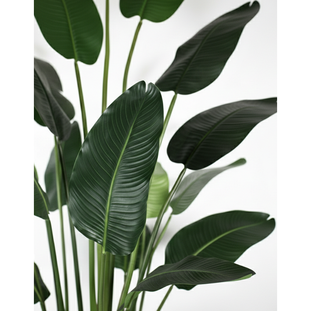 240 CM STARLİÇE 18 LVS