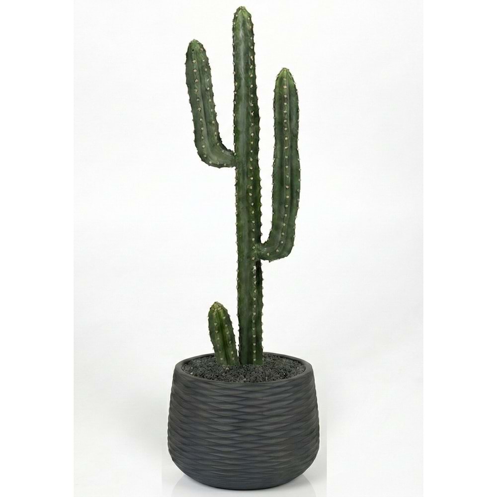 80 CM KAKTÜS