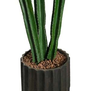 105 CM KAKTÜS