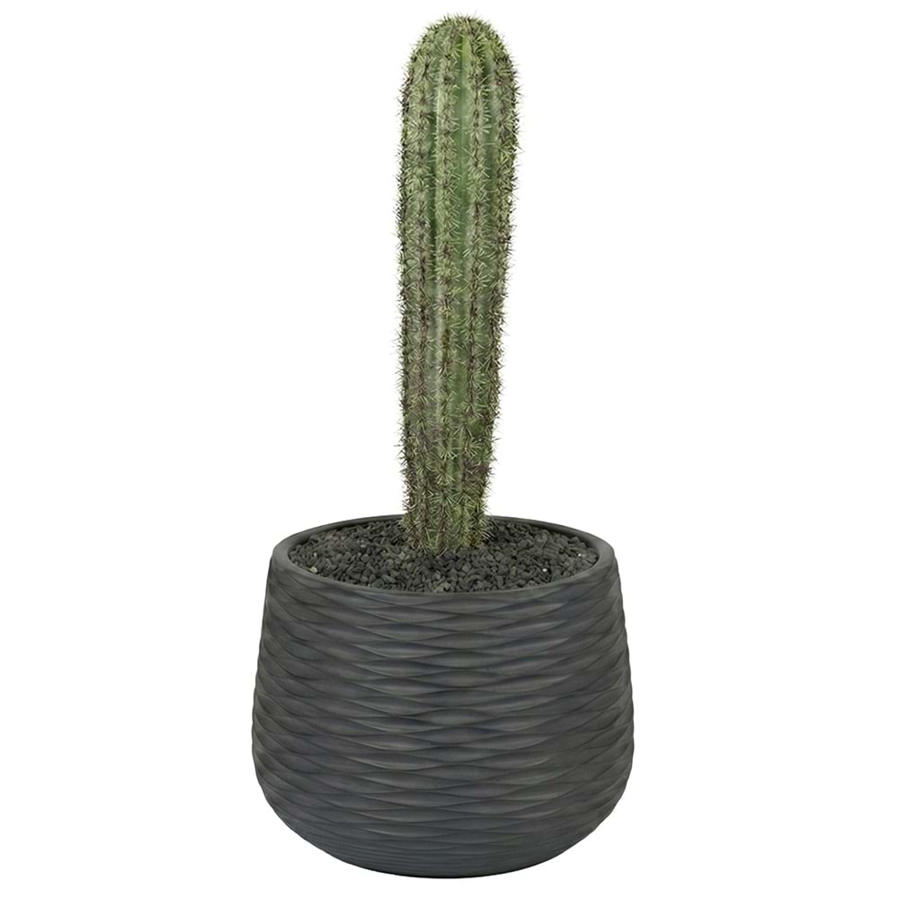 110 CM KAKTÜS
