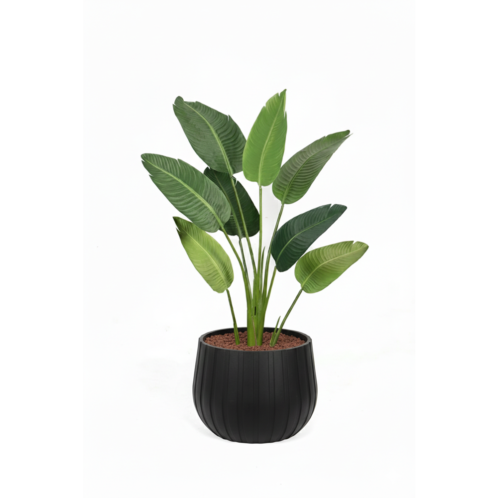 120 CM STARLİÇE 8 LVS