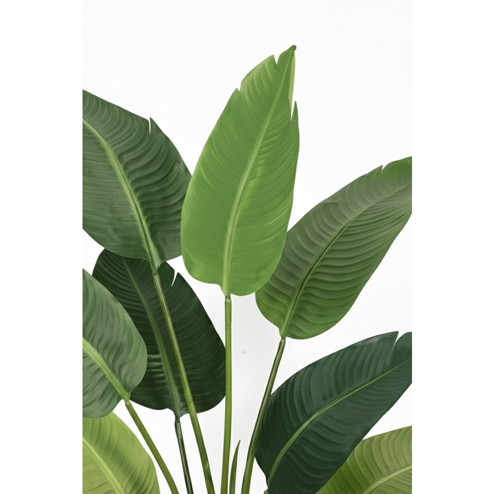 120 CM STARLİÇE 8 LVS