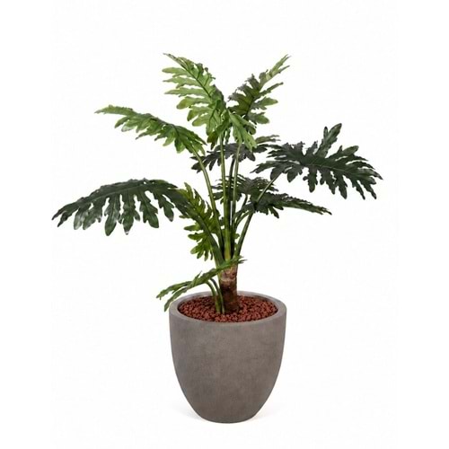 110 CM PHILODENDRON 10 LVS