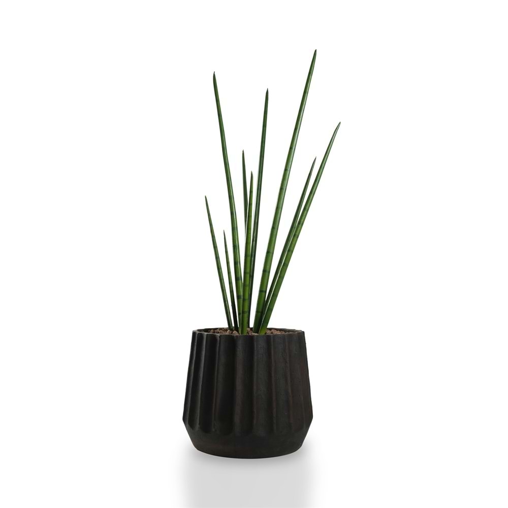 105 CM SNAKE GRASS