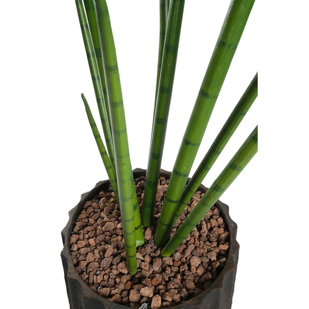 105 CM SNAKE GRASS