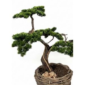 90 CM SAKSILI BONSAI AĞAÇ