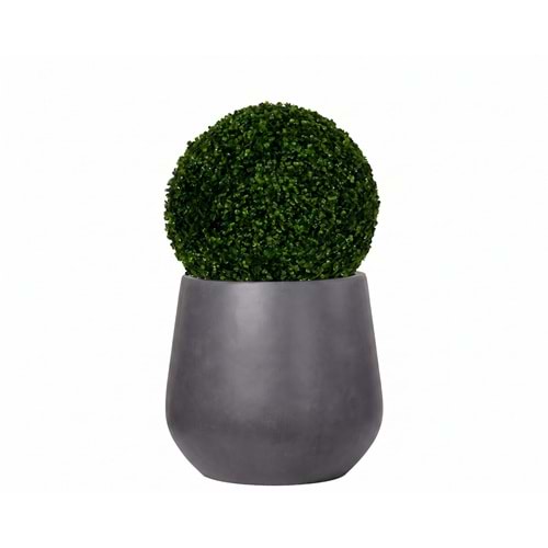 45 CM TOP ŞİMŞİR