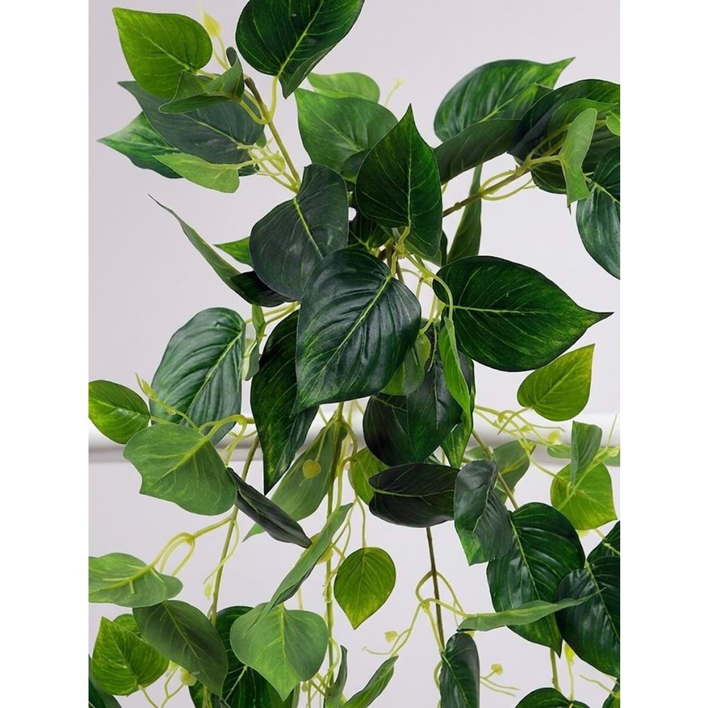 DEMET POTHOS SARMAŞIK
