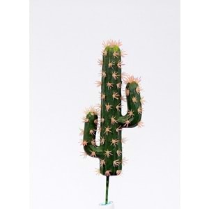 MİNİ MEXICO KAKTÜS