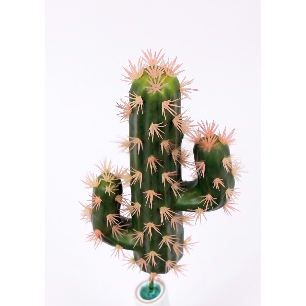 MİNİ MEXICO KAKTÜS