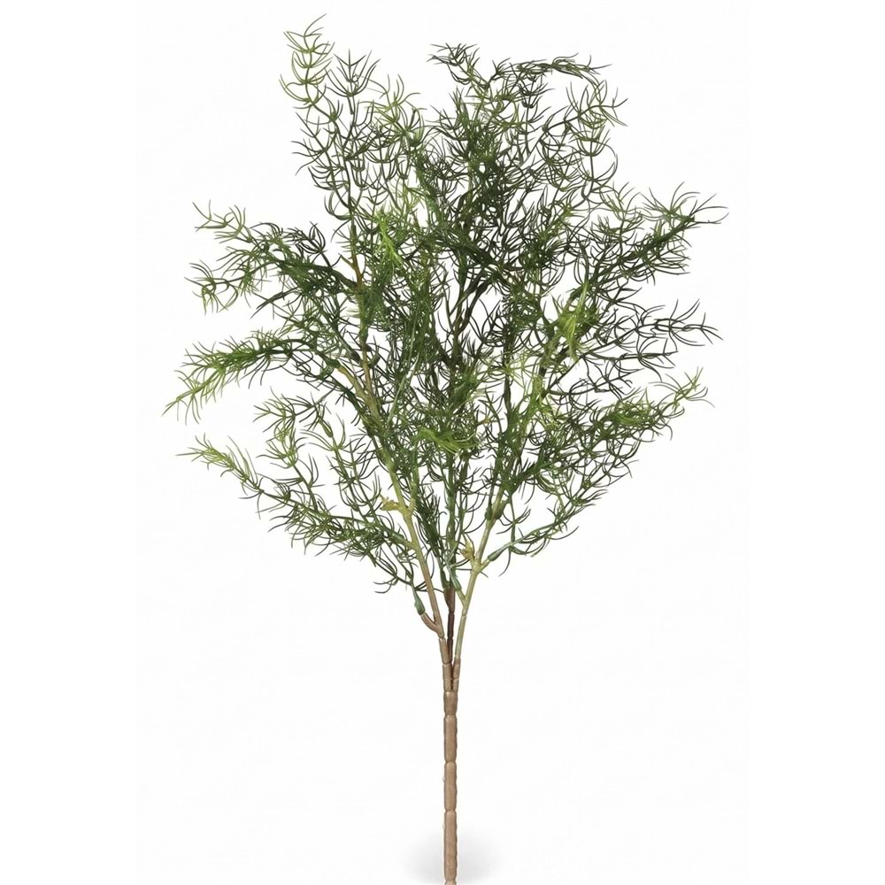 52 CM BİTKİ