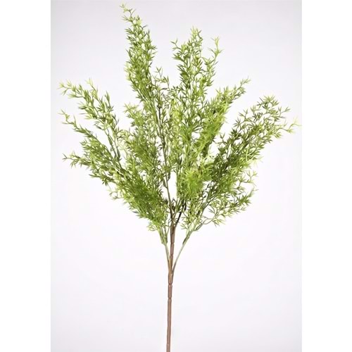 63 CM BİTKİ