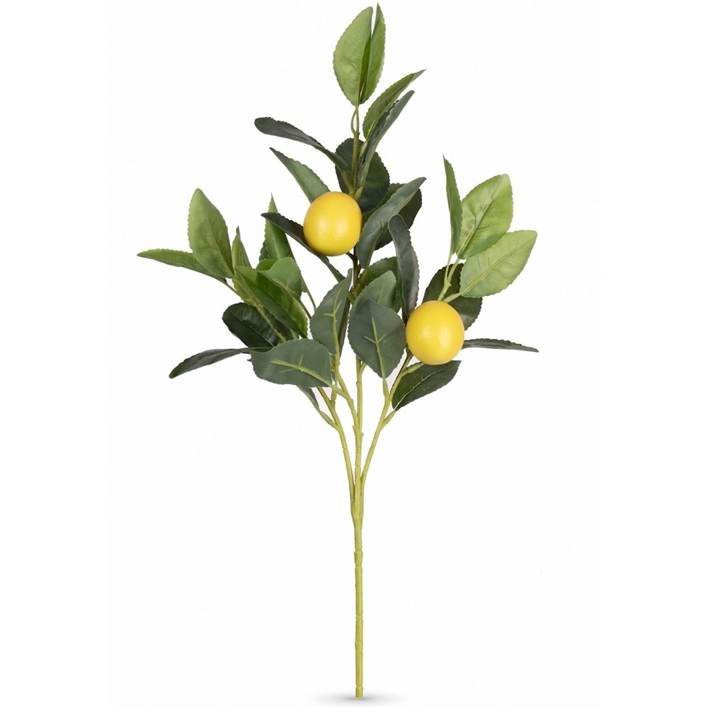 50 CM LİMON DALI
