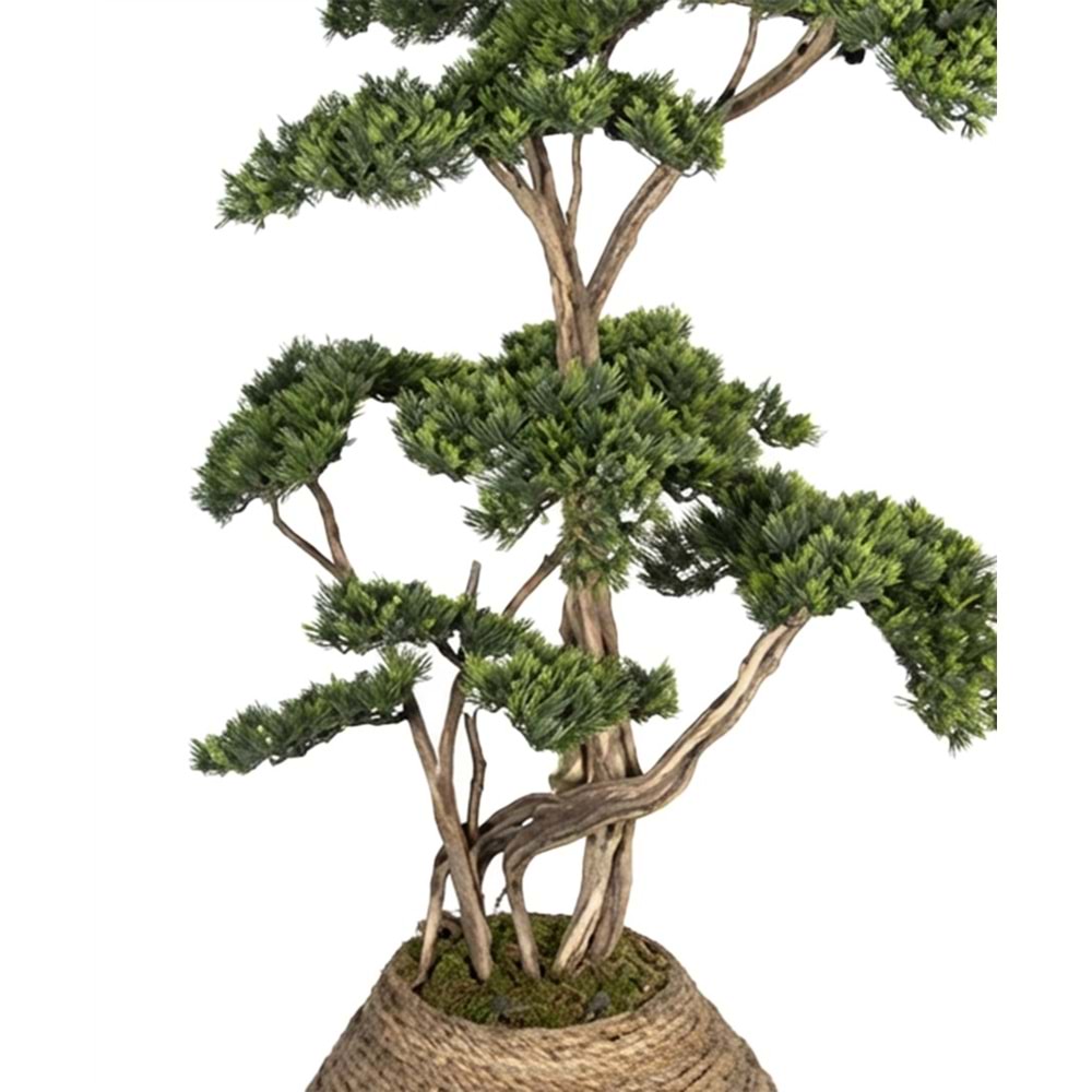 170 CM SAKSILI BONSAI AĞAÇ
