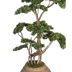 170 CM SAKSILI BONSAI AĞAÇ