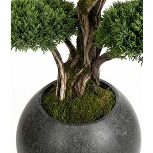 180 CM SAKSILI 5 KAFA BONSAI